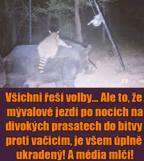 Sdielajte pokím nesmažú